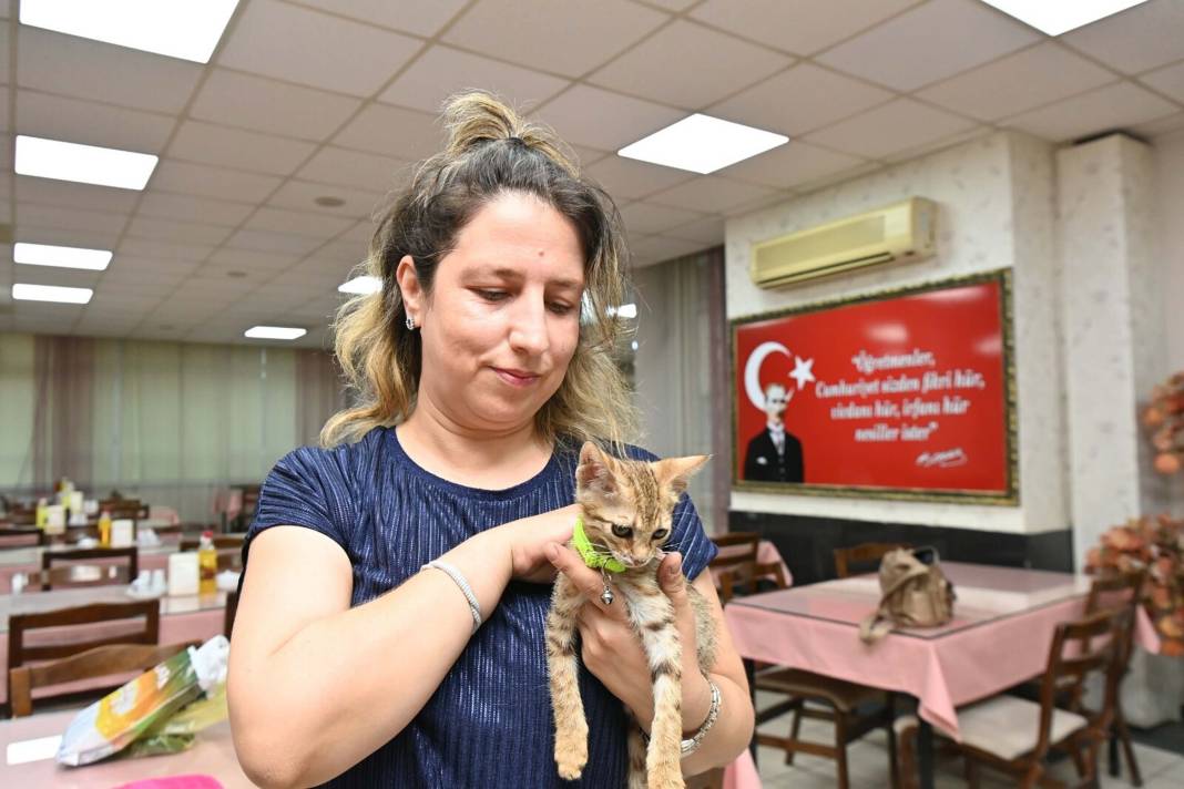 İtfaiye eri kendi solunum cihazını yavru kediye takarak hayatını kurtardı 5